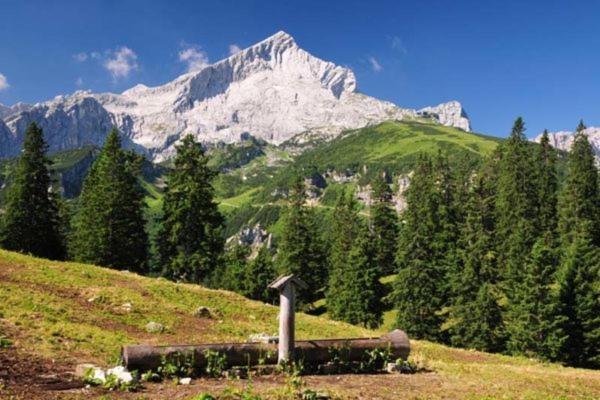 Отель Alpenhof Грайнау Экстерьер фото