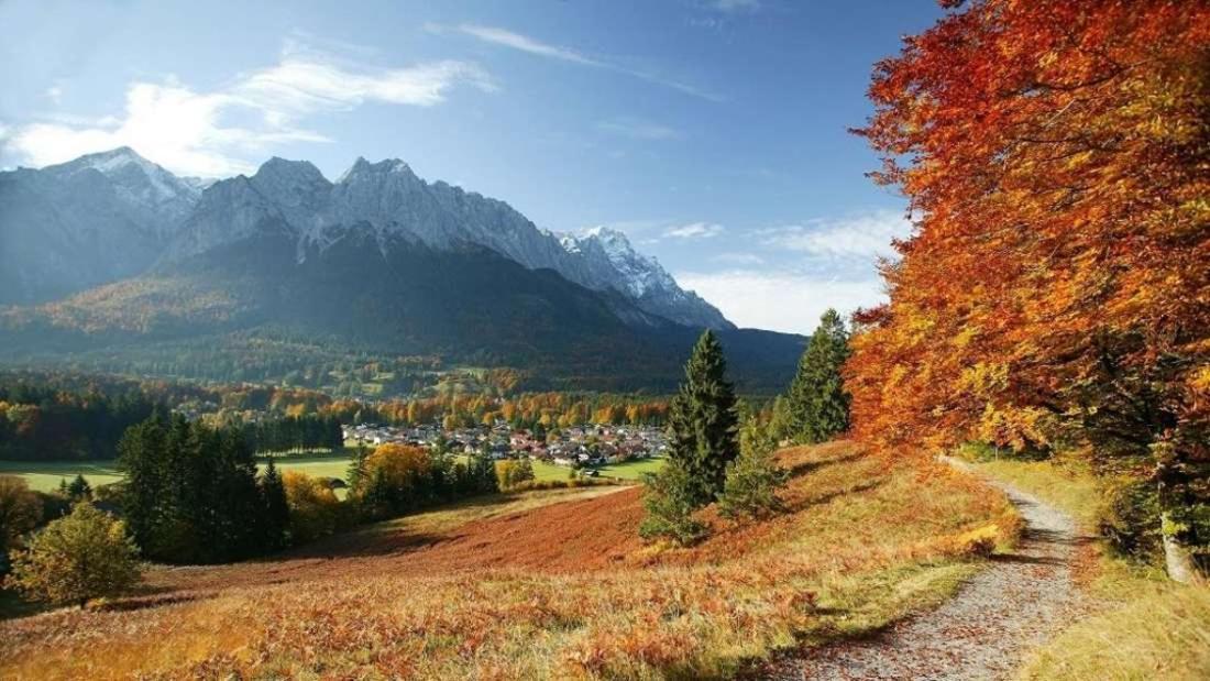 Отель Alpenhof Грайнау Экстерьер фото